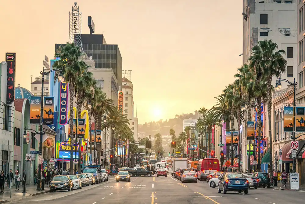 a Los Angeles street lined with commercial buildings